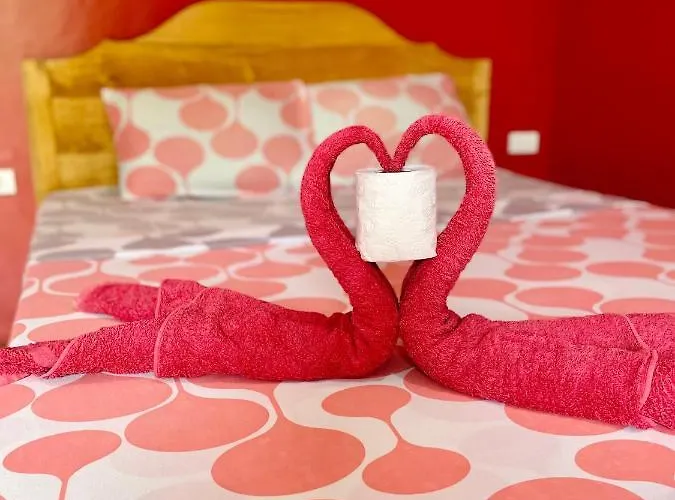 Guest house Ananas 4*