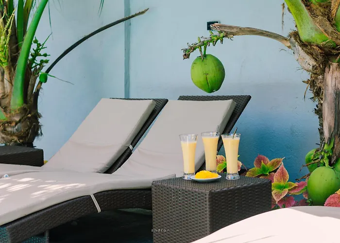 Ananas Guest house