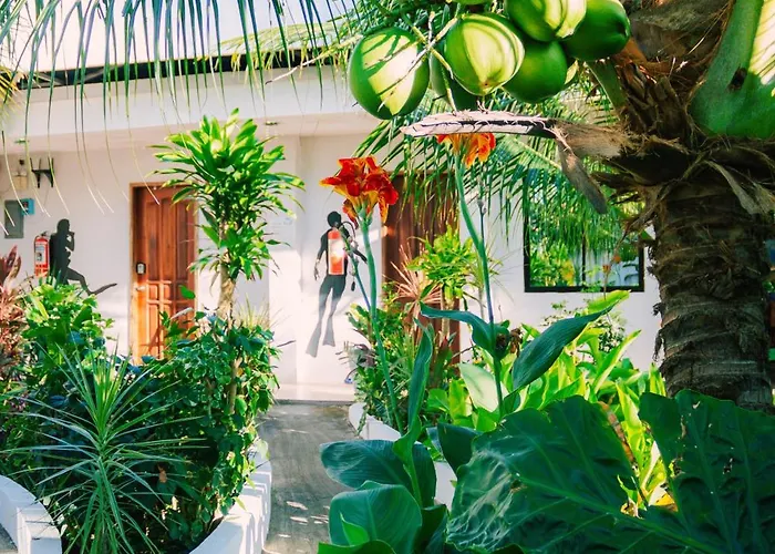 Ananas Guest house 4*